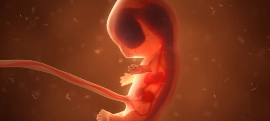 Cum arata embrionul in saptamana 9